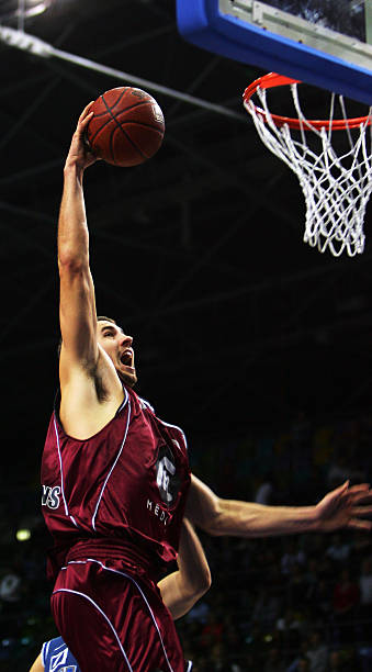 霍伊伦对意 霍伊伦对意